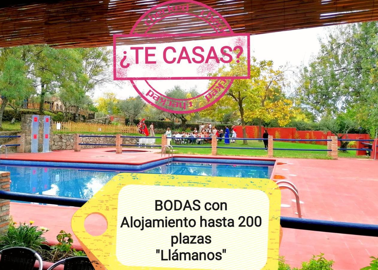 Complejo Aldea Vetonia Check Out Hasta Las 20H Parque De Mascotas Zonas Infantiles Ideal Grupos Parejas Familias Informate Apertura Piscina 1 De Mayo Hervás Dış mekan fotoğraf