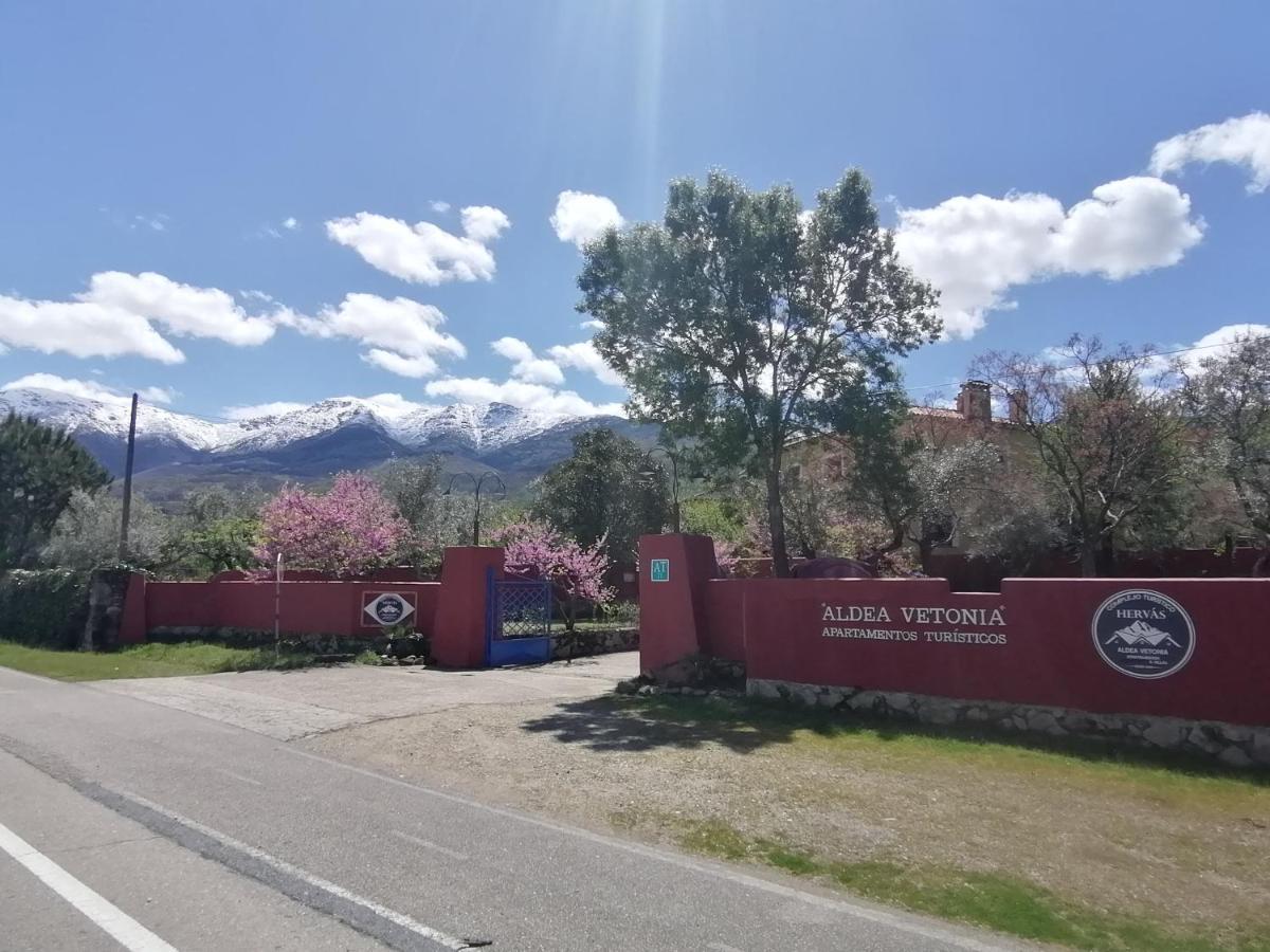 Complejo Aldea Vetonia Check Out Hasta Las 20H Parque De Mascotas Zonas Infantiles Ideal Grupos Parejas Familias Informate Apertura Piscina 1 De Mayo Hervás Dış mekan fotoğraf