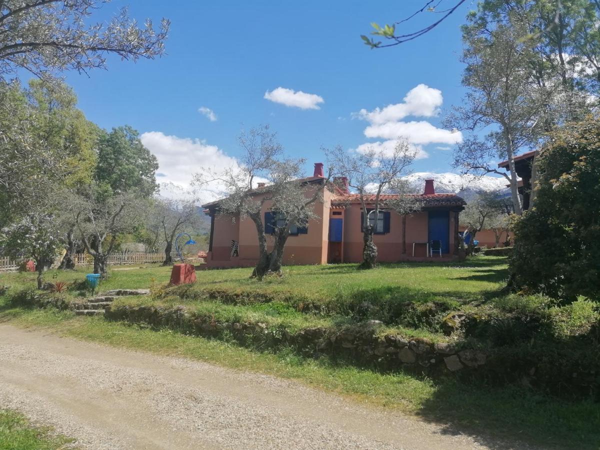 Complejo Aldea Vetonia Check Out Hasta Las 20H Parque De Mascotas Zonas Infantiles Ideal Grupos Parejas Familias Informate Apertura Piscina 1 De Mayo Hervás Dış mekan fotoğraf