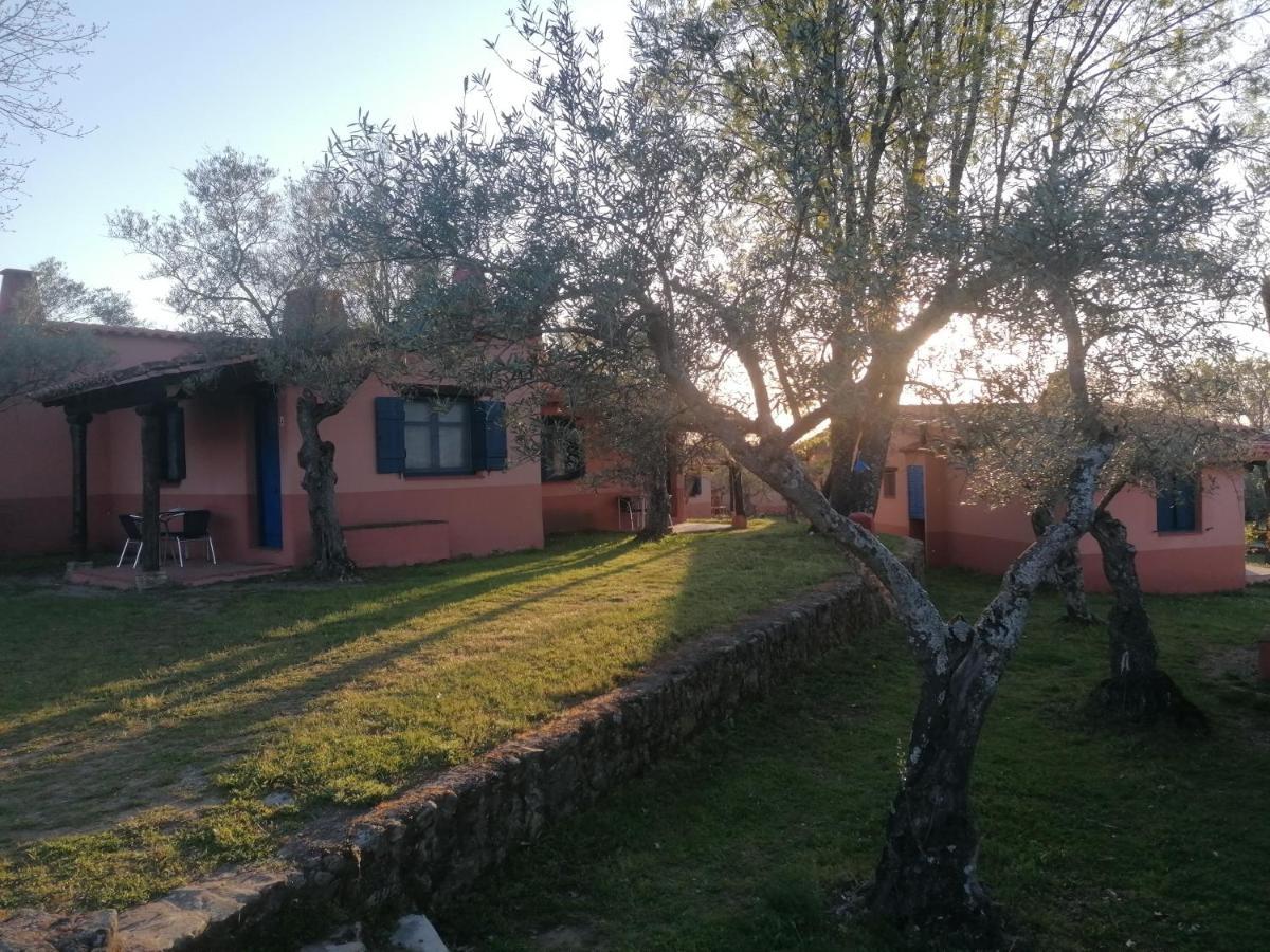 Complejo Aldea Vetonia Check Out Hasta Las 20H Parque De Mascotas Zonas Infantiles Ideal Grupos Parejas Familias Informate Apertura Piscina 1 De Mayo Hervás Dış mekan fotoğraf