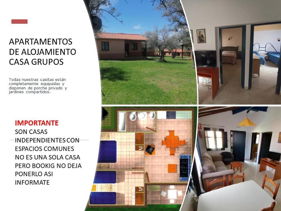 Complejo Aldea Vetonia Check Out Hasta Las 20H Parque De Mascotas Zonas Infantiles Ideal Grupos Parejas Familias Informate Apertura Piscina 1 De Mayo Hervás Dış mekan fotoğraf