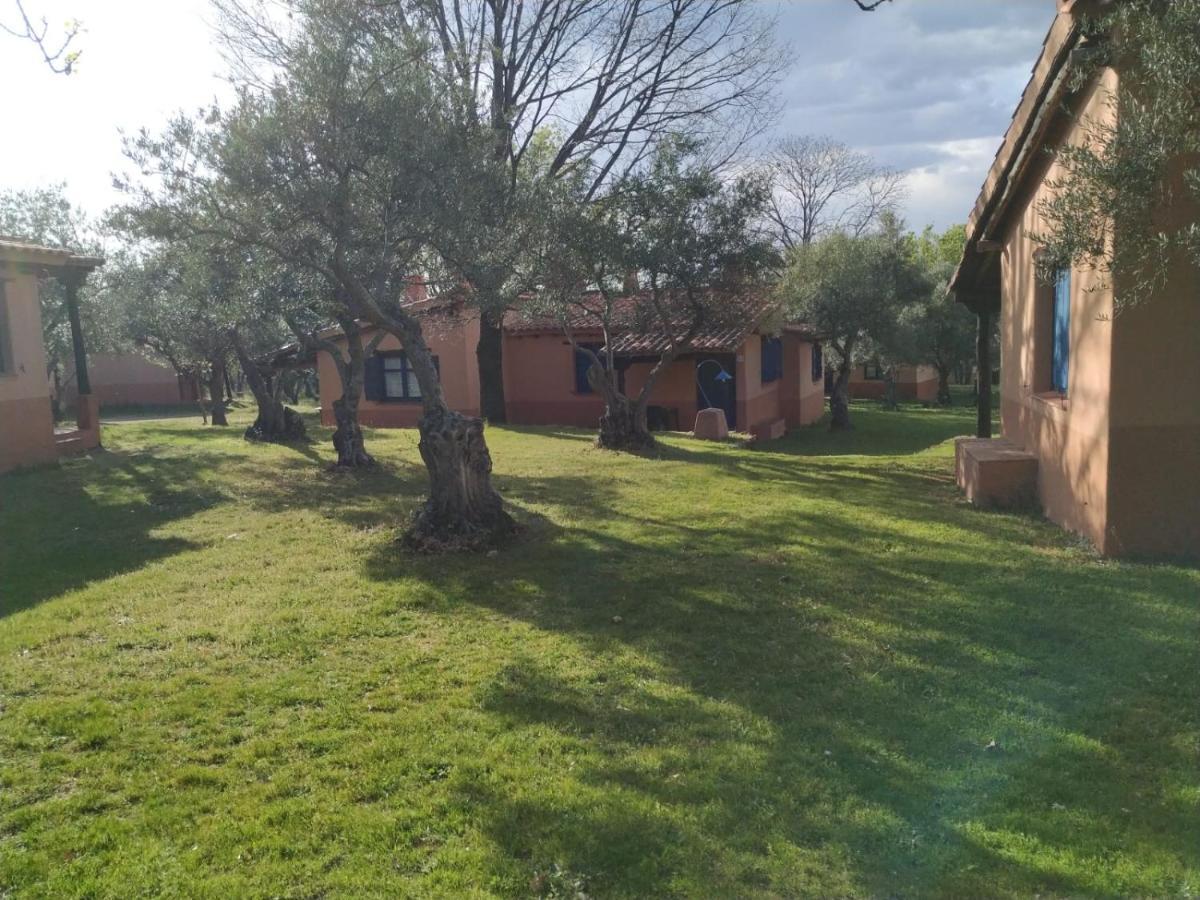 Complejo Aldea Vetonia Check Out Hasta Las 20H Parque De Mascotas Zonas Infantiles Ideal Grupos Parejas Familias Informate Apertura Piscina 1 De Mayo Hervás Dış mekan fotoğraf