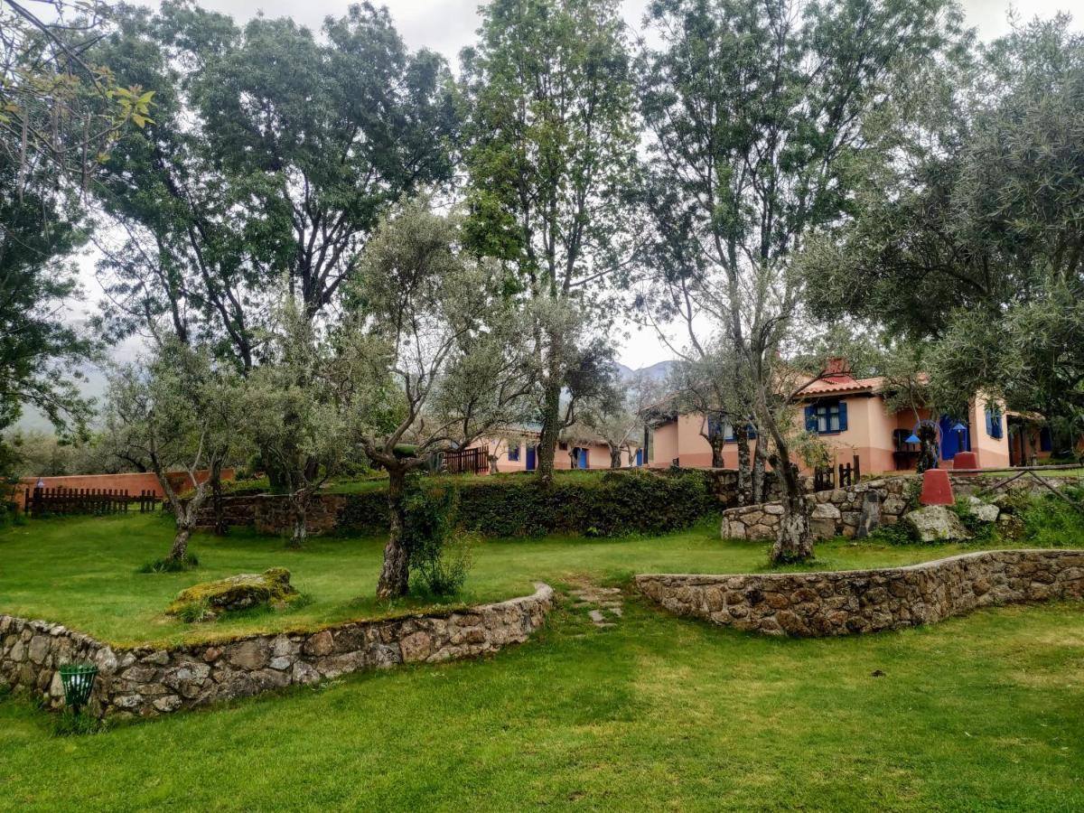 Complejo Aldea Vetonia Check Out Hasta Las 20H Parque De Mascotas Zonas Infantiles Ideal Grupos Parejas Familias Informate Apertura Piscina 1 De Mayo Hervás Dış mekan fotoğraf